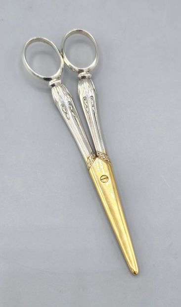 CARDEILHAC.

Paire de ciseaux à raisin aux...