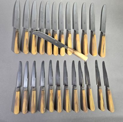 Complete double set of knives with horn handles...