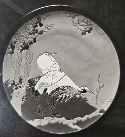 SAMARA
Photograph of the stork plate
Plate...