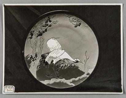 SAMARA
Photograph of the stork plate
Plate...