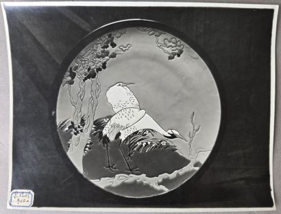 SAMARA
Photograph of the stork plate
Plate...