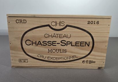 BORDEAUX
MOULIS
Château CHASSE-SPLEEN
2016
1...