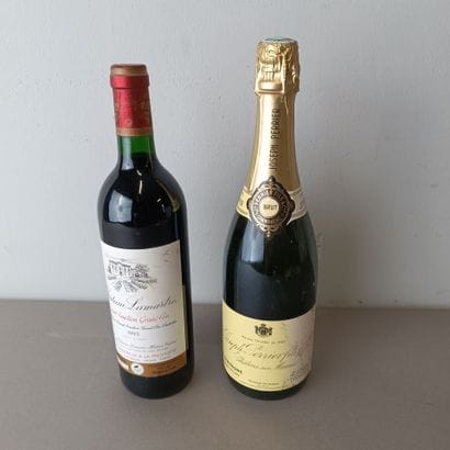Lot:
1 bouteille Château Lamartre
1 bouteille...