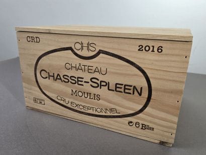 BORDEAUX
MOULIS
Château CHASSE-SPLEEN
2016
1...