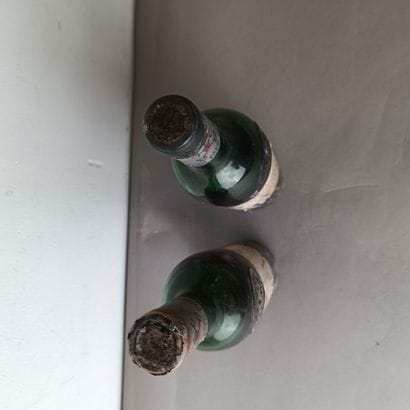 Château Pape Clement
2 bouteilles 
1970
ETA,...