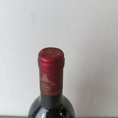 MARGAUX
Château Labegorce Margaux
1990
1...