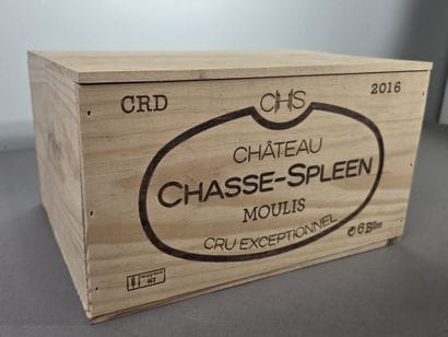 BORDEAUX
MOULIS
Château CHASSE-SPLEEN
2016
1...