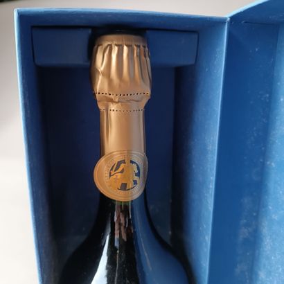 1 Bouteille CHAMPAGNE BRUT 