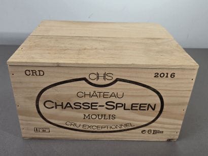 BORDEAUX
MOULIS
Château CHASSE-SPLEEN
2016
1...