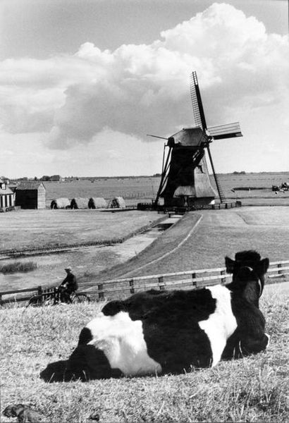 Willy RONIS (1910-2009)?Hollande 

Date :...
