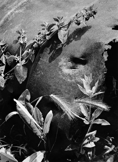 Pierre-Jean AMAR (1947)?La Déesse-Mère, 1979

Tirage...