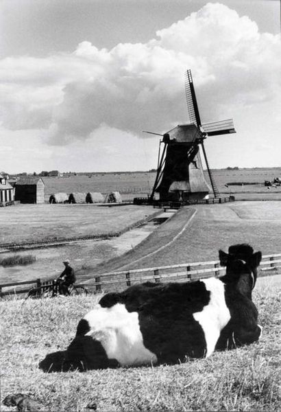 Willy RONIS (1910-2009)?Hollande 

Date :...