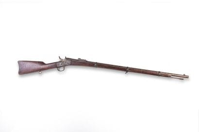 Fusil Remington Rolling Block modèle 1866...