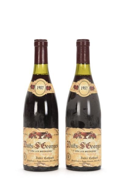 2 bouteilles NUITS-ST-GEORGES LES MEURGERS...