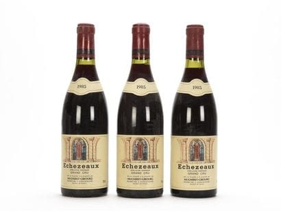 3 bouteilles ÉCHÉZEAUX (Grand Cru)

Mugneret-Gibourg,...