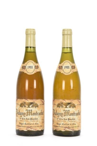 2 bouteilles PULIGNY-MONTRACHET LES PUCELLES...