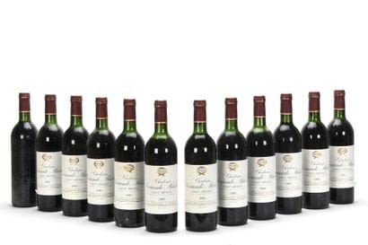 12 bottles CHÂTEAU SOCIANDO MALLET (Original...
