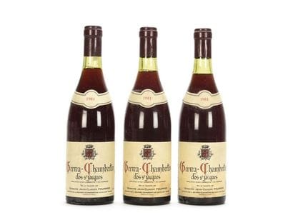 3 bouteilles GEVREY-CHAMBERTIN CLOS ST JACQUES...