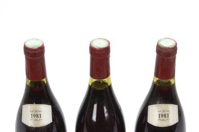 3 bottles CHAMBERTIN CLOS DE BÈZE (Grand...