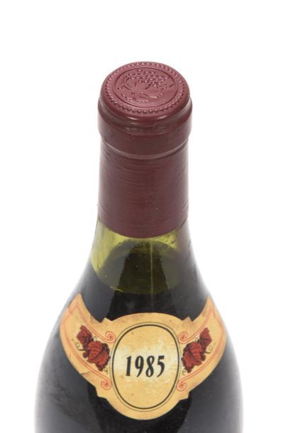 1 bottle CLOS-VOUGEOT (Grand Cru) 2,5 cm

Cathiard-Molinier,...