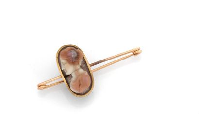 Brooch in 18K (750/1000) yellow gold and...