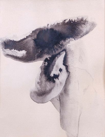 Paul JENKINS (1923-2012) 

Caesar looks....
