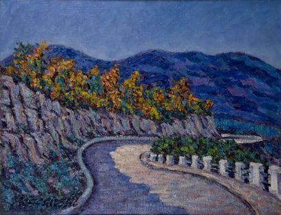 Mario PASSARELLI (1930)

The road of the...