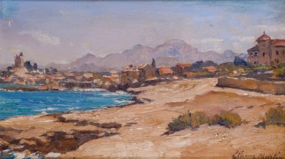 Étienne Philippe MARTIN (1856/58-1945)

View...