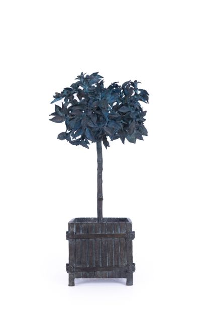 
Louis CANE (1943)




Le citronnier




Bronze




Signé,...
