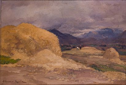 Étienne Philippe MARTIN (1856/58-1945)

In...