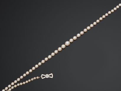 Collier composé d'un rang de perles de culture...