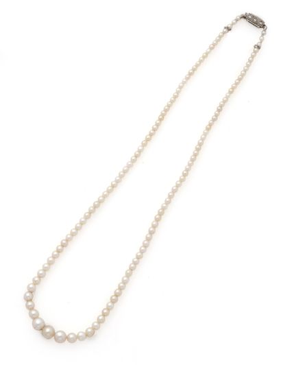 Collier en chute composé de 119 perles dont...