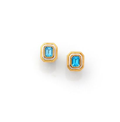 Paire de puces d'oreilles en or jaune 18K...