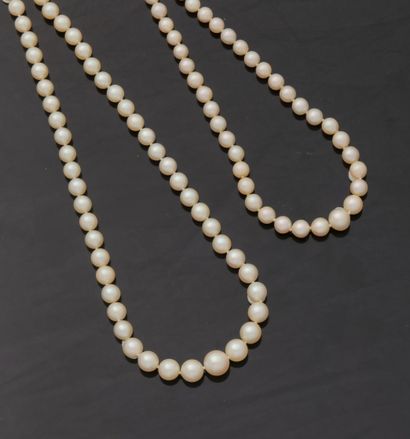 Lot de deux colliers en perles de cultures,...