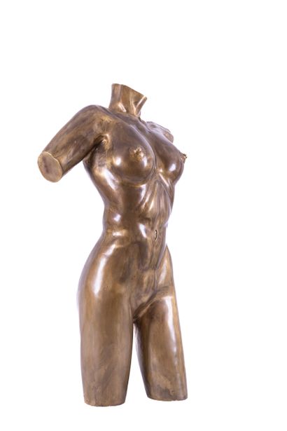 Christian NOWACZYK (1955)

Bust of a woman

Copper...
