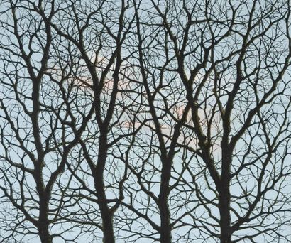 Hubert AICARDI (1922-1991) 

The trees, 1966...