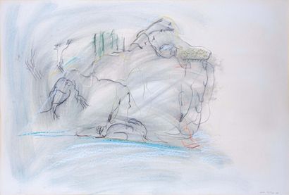 Daniel DEZEUZE (1942) 

Sans titre. 1988...