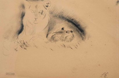 Gustave GUETANT (1873-1953) 

Reclining Lioness...