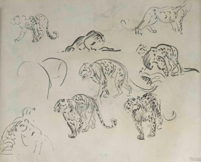 Gustave GUETANT (1873-1953) 

Study of panthers...