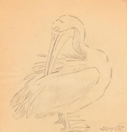 Rembrandt BUGATTI (1884-1916)
Pelican
Pencil...