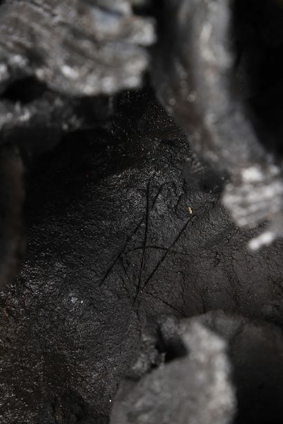 Nathalie CAMPION (1964)
Vase dite Souche...