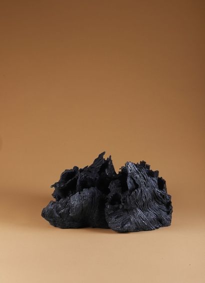 Nathalie CAMPION (1964)
Vase dite Souche...