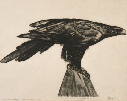 Paul JOUVE (1878-1973) d'après
L’aigle au...