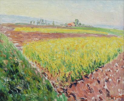 René SEYSSAUD (1867-1952)
Champs de colza...