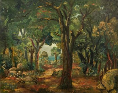 Auguste CLERGE (1891-1963)
Paysage forestier....