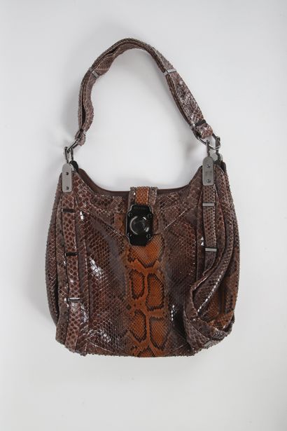 CÉLINE
Dimitri bag in varnished python, 28...