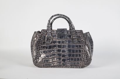 CÉLINE
33 cm bag in silver-finish blue reptile-effect...