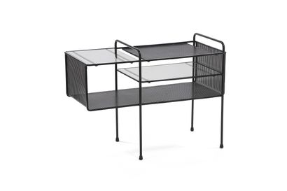 Mathieu MATEGOT (1910-2001)
Petit meuble...