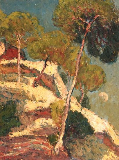 René SEYSSAUD (1867-1952)
Pins en bord de...
