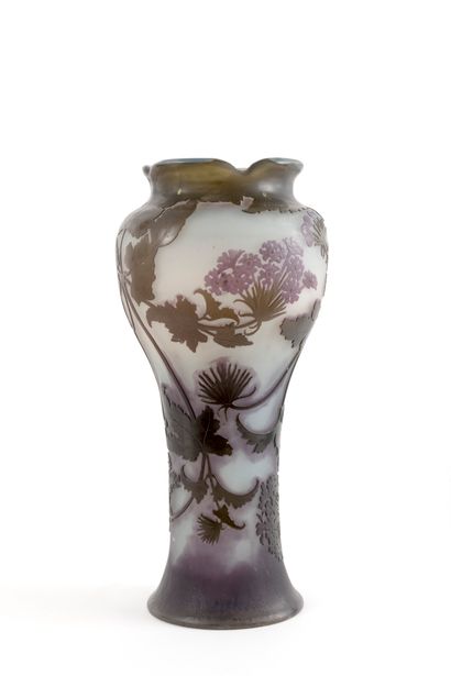 Etablissements GALLÉ (1904-1936)
Vase
Épreuve...